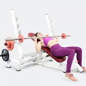 Hình sản phẩm Ghế đẩy ngực trên Elip AC015 