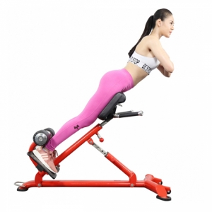 Hình sản phẩm Ghế tập lưng Elip AC007 