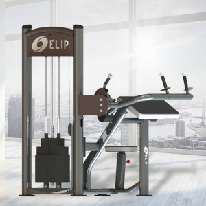 Hình sản phẩm Máy tập duỗi tay sau Elip AC054