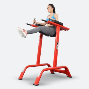 Hình sản phẩm Khung tập tay vai bụng Elip YL31i