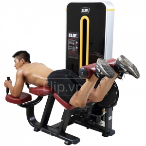 Hình sản phẩm Máy nằm móc đùi Elip P213A