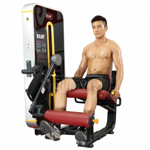 Hình sản phẩm Máy tập đá đùi Elip P214