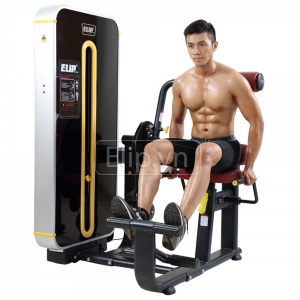 Hình sản phẩm Máy tập lưng Elip P209