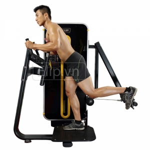 Hình sản phẩm Máy đạp mông Elip P216A