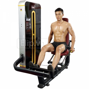 Hình sản phẩm Máy gánh đùi Elip P217