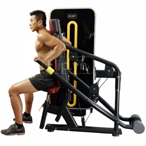 Hình sản phẩm Máy tập tay sau Elip P207