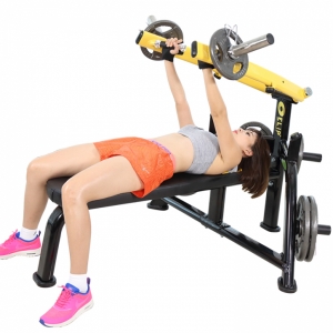 Hình sản phẩm Ghế banh đẩy ngực ngang Elip YL-27F
