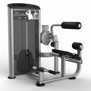 Hình sản phẩm Máy tập lưng bụng Elip ES9532