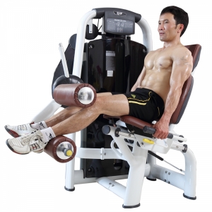 Hình sản phẩm Máy tập đùi Elip Pri14