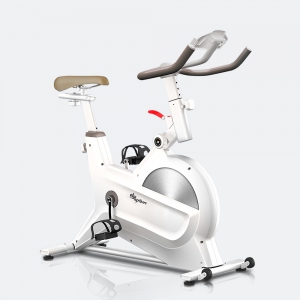 Hình sản phẩm Xe đạp tập ELIP Whitney