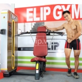 Máy đẩy vai Elip R203