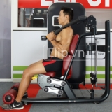 Máy tập bụng Elip R310