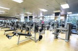 Phòng gym Thanh Hóa.